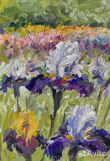 Картина маслом. Ирисы. Никитский Ботанический Сад