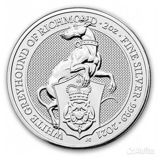 Белый Грейхаунд Ричмонда