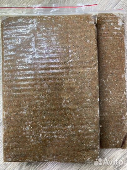 Артемия / Мотыль заморозка