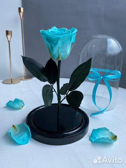 Вечная роза в колбе