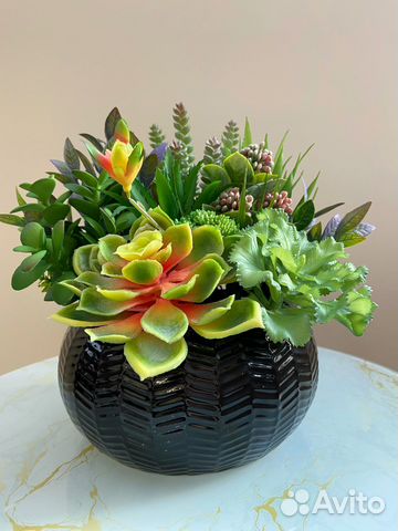 Композиция из суккулентов