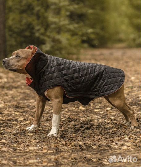 Попона для собак, куртка комбинезон