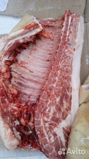 Мясо свинина домашняя