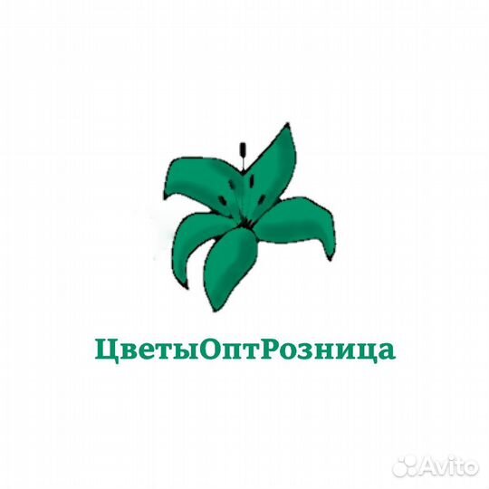 Мобильный кассир-продавец