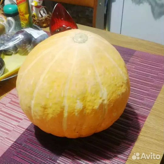 Семена томатов коллекционных