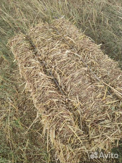 Солома тюки основа трава