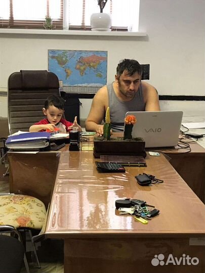 Аренда строительных инструментов и оборудования