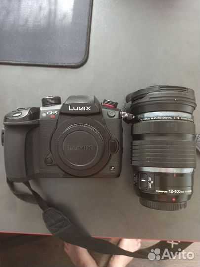 Panasonic lumix gh5s