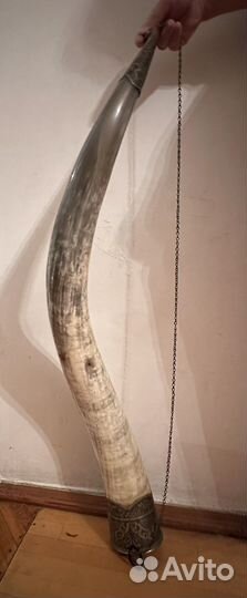 Огромный рог африканского буйвала Антиквариат