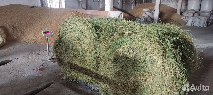 Сено Люцерна