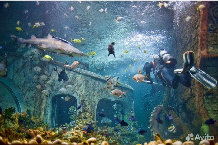 Билеты в Воронежский океанариум
