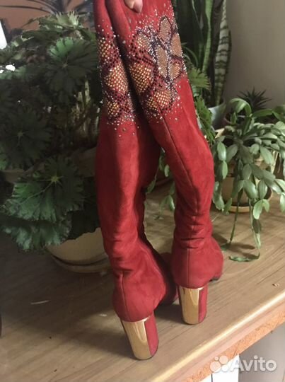 Сапоги натуральная замша