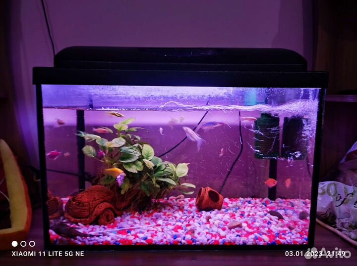 Продам аквариум на 60 литров со всем содержимым