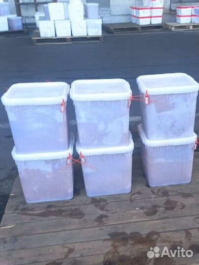 Икра горбуши