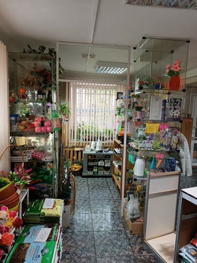 Свободного назначения, 51 м²