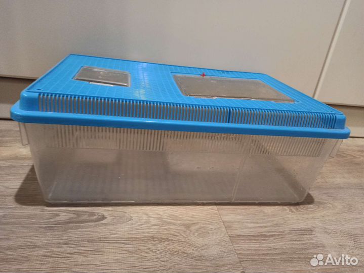 Контейнер для улиток