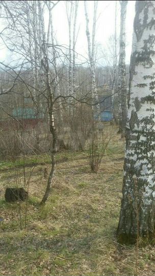 Участок 6 сот. (СНТ, ДНП)