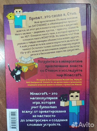 Дневник Стива книга 4