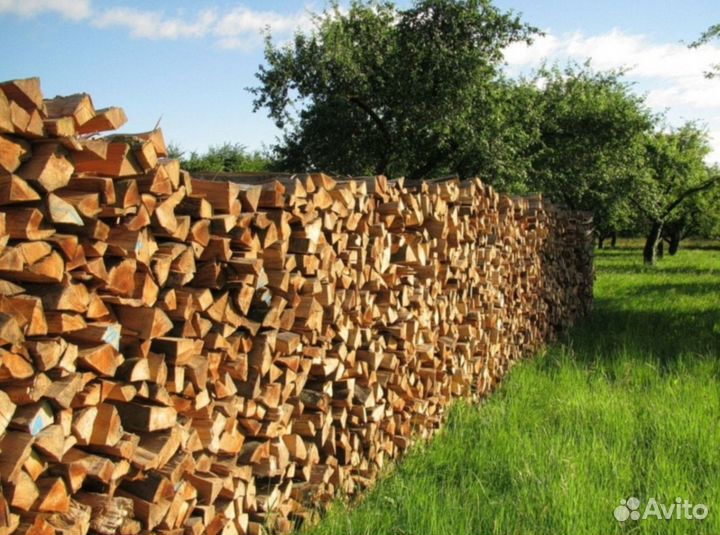 Сухие березовые дрова