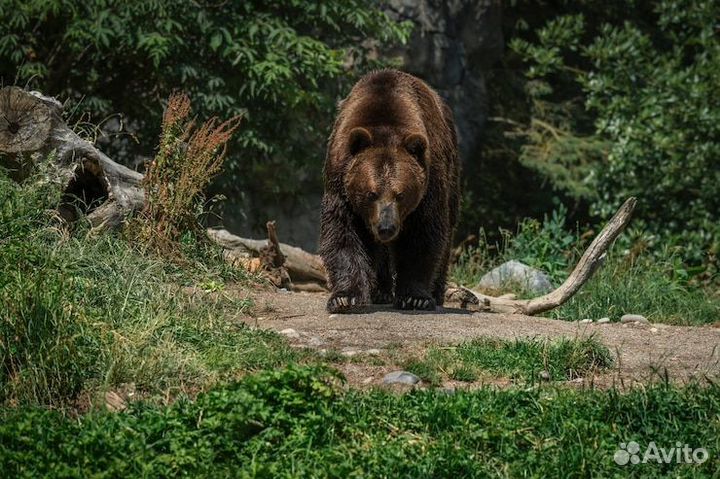 Вскрытие замков Открыть авто Вскрыть сейф