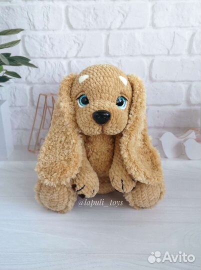 Собака спаниель