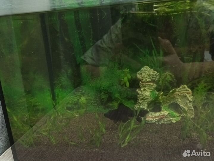 Украшение для аквариума