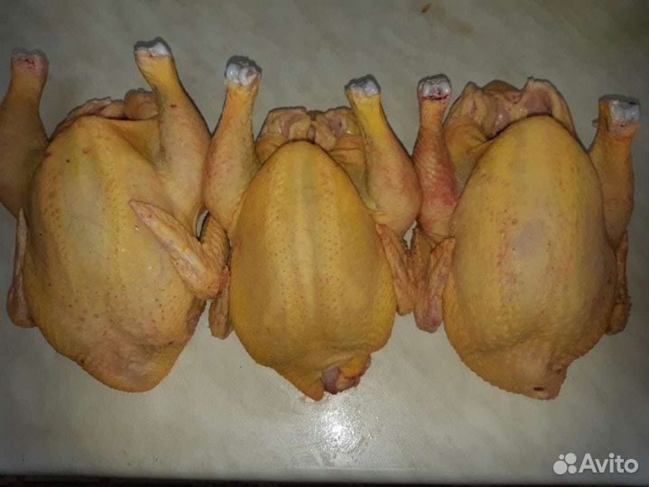 Мясо домашнего бройлера