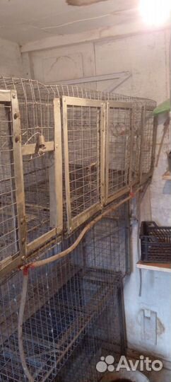 Клетки для кроликов бу