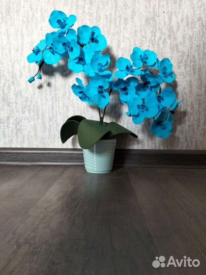 Орхидея, цветы