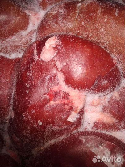 Почки говяжьи и свиные