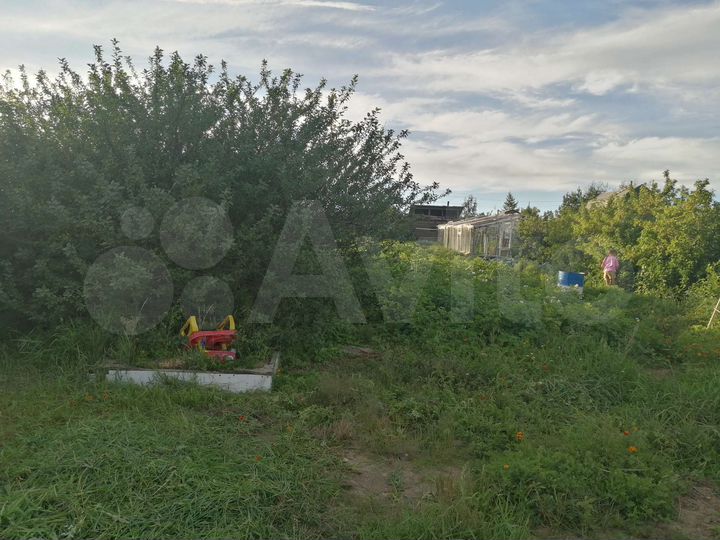 Дачи краснокаменск забайкальского края. Краснокаменск дачи. Автобус дачи Краснокаменск.