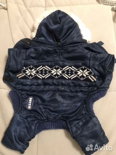 Одежда для собак мелких пород