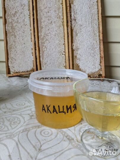 Мед акация