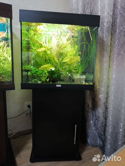 Продам аквариумы