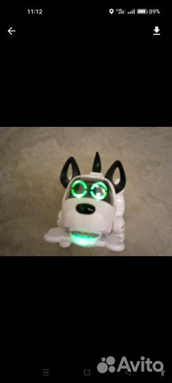 Электронная собака паба 16 команд