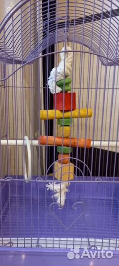 Клетка для попугая или канарейки