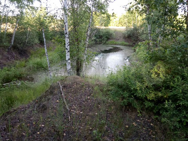 Участок 16,2 га (ИЖС)