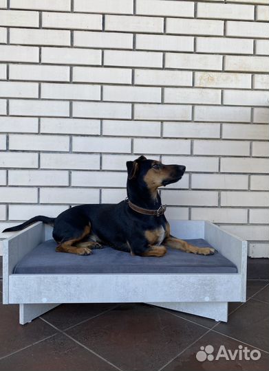 Лежанка для собак