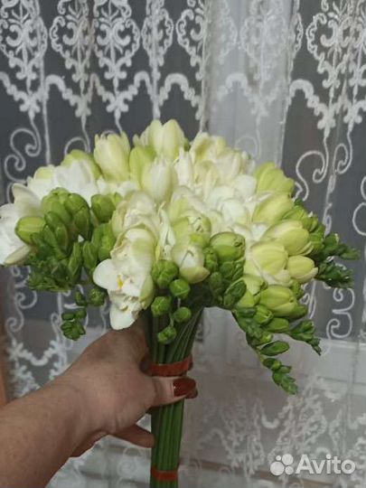 Цветы фрезия