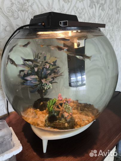 Аквариум с рыбками и аксессуарами