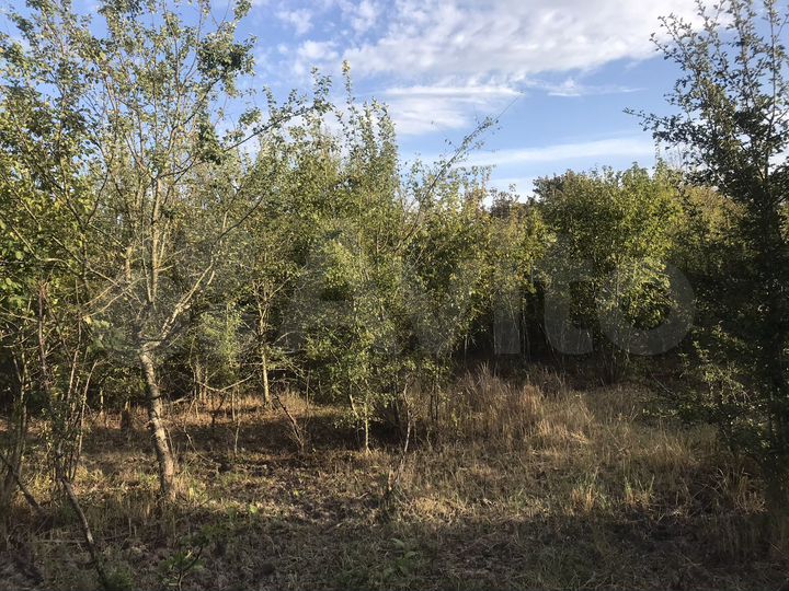 Участок 1,1 га (СНТ, ДНП)