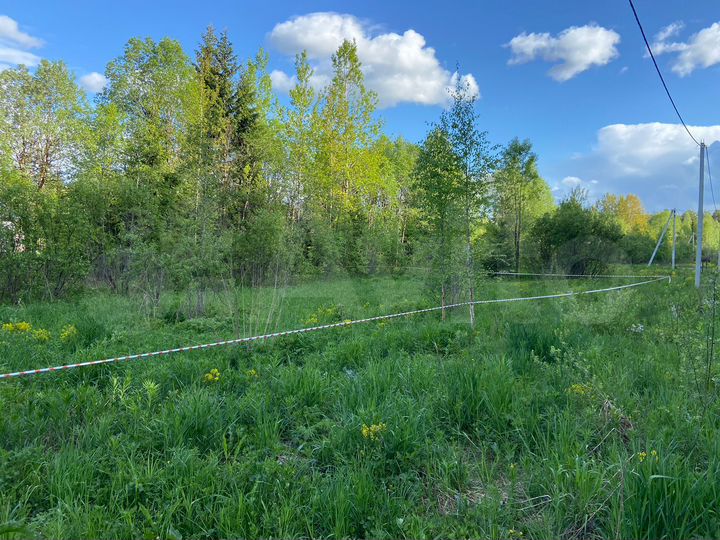 Участок 8,1 сот. (СНТ, ДНП)