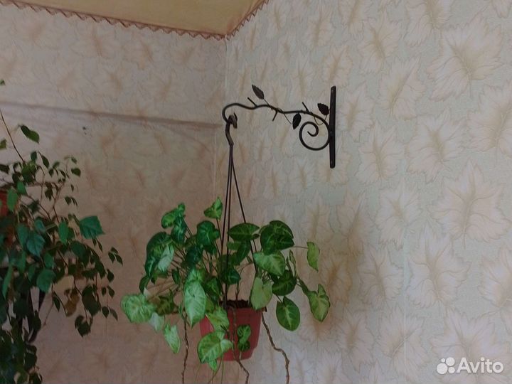 Крючок для цветов кованый настенный