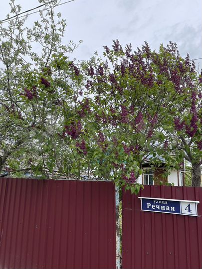 Дом 60 м² на участке 20 сот.