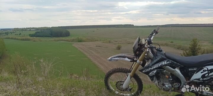 Stels 450