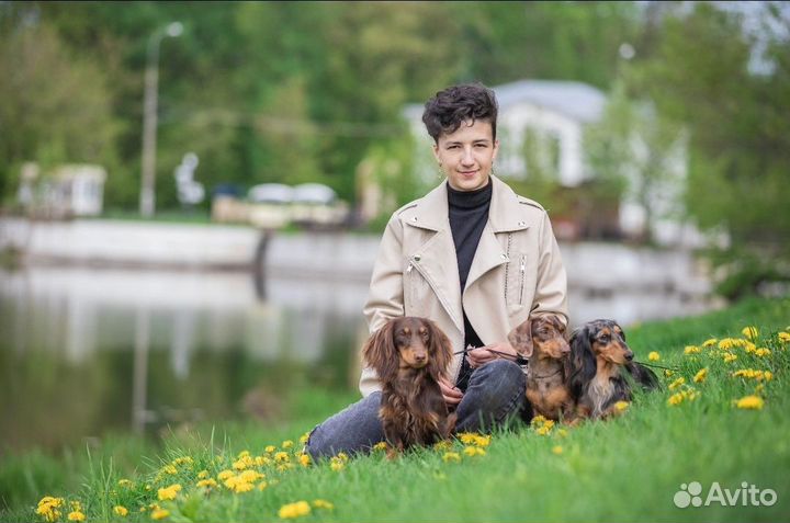 Передержка собак у кинолога