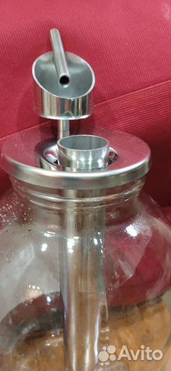 Попугай на банку. Новый