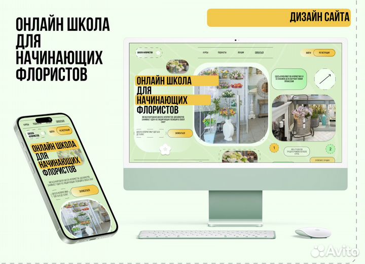 Веб дизайнер