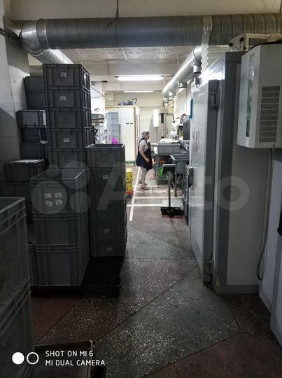 Общепит, 210 м²