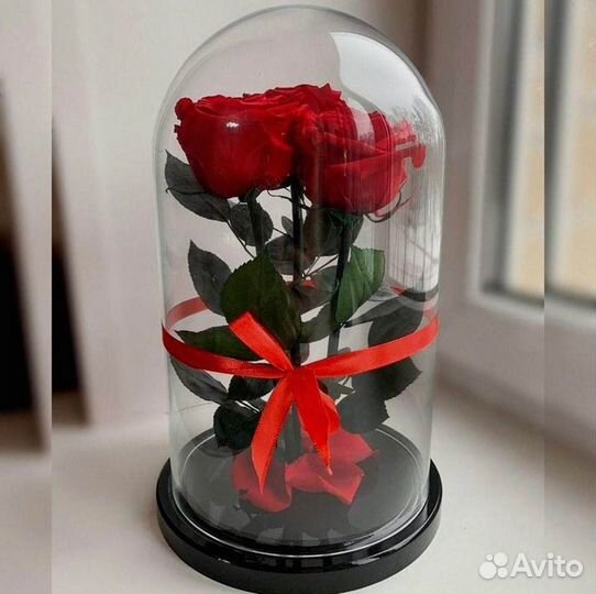 Роза в колбе